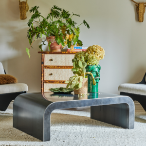 Table basse Gaïa en acier, design épuré, mise en scène dans un intérieur moderne avec des plantes décoratives.